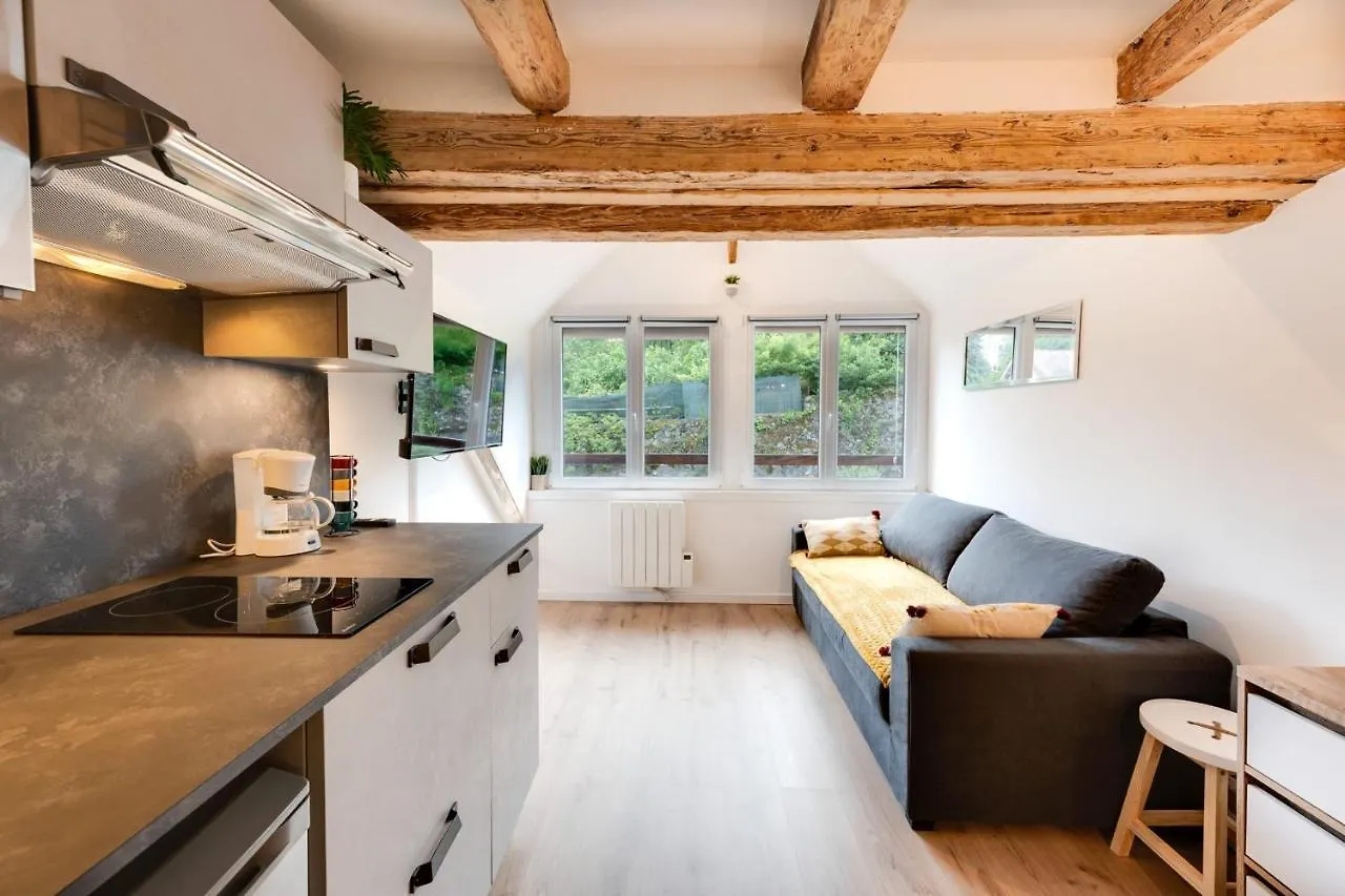 Le Studio Du Lac - Studio Quiet At The Foot Of Lake Annecy Apartment