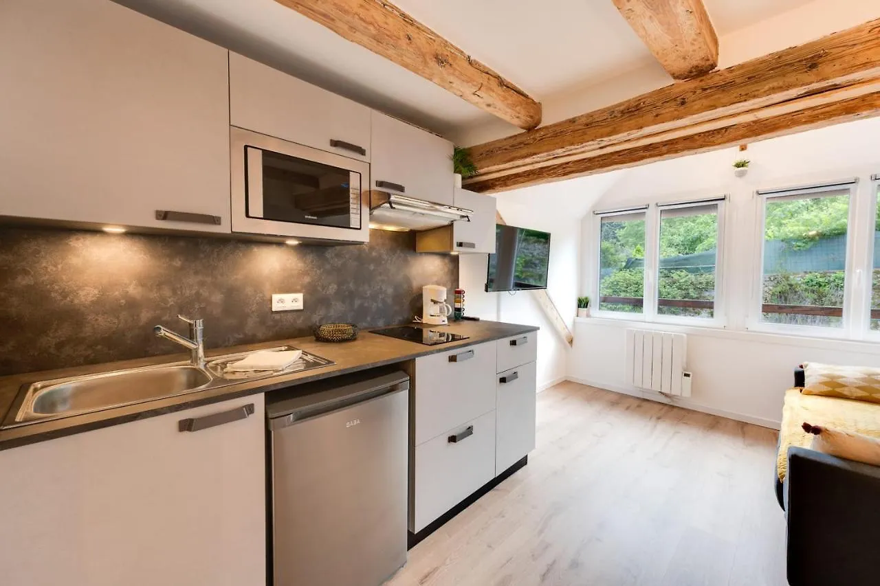 Le Studio Du Lac - Studio Quiet At The Foot Of Lake Annecy Apartment France